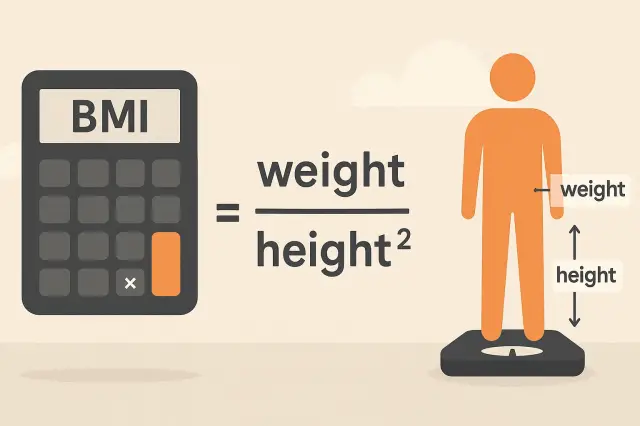 Entendiendo la Calculadora de IMC 