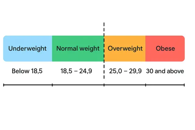 Understanding the BMI Calculator and How to Use It Effectively