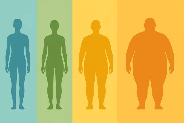 Understanding BMI Calculator for a Healthier Lifestyle